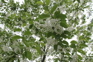 Similar image 22688769