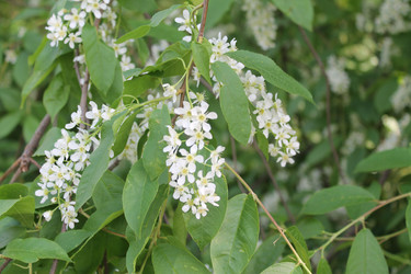 Similar image 22688771
