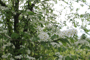 Similar image 22688772