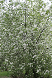 Similar image 22688775