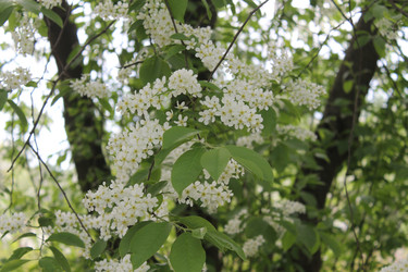 Similar image 22688777