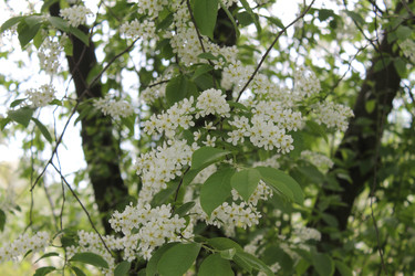 Similar image 22688778