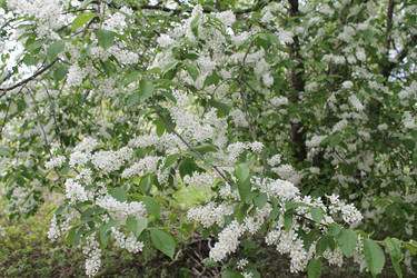 Similar image 22688781