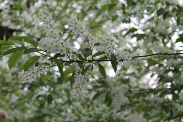 Similar image 22688831