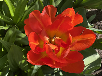Similar image 22688744