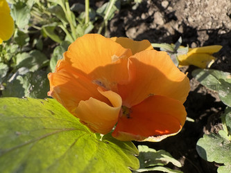 Similar image 22688746