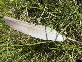Similar image 22688749