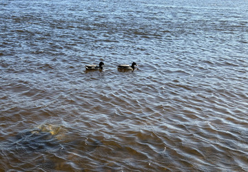 Similar image 22688764