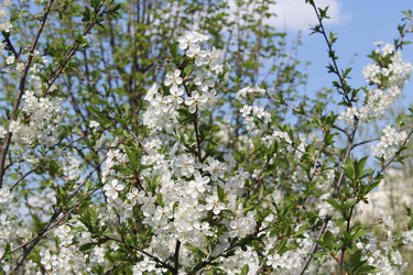 Similar image 22689678