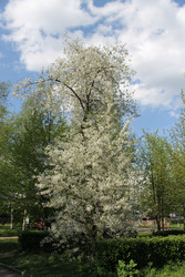 Similar image 22689687