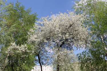 Similar image 22689689