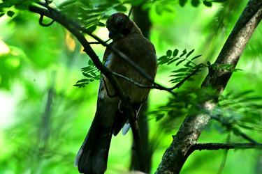Similar image 22690927