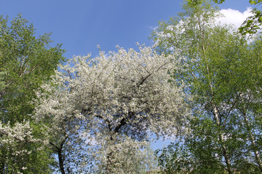 Similar image 22689691