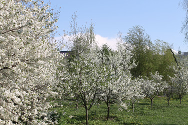Similar image 22689693