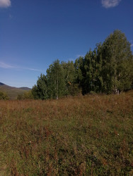 Similar image 22725328