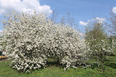 Similar image 22689694