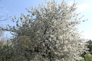 Similar image 22689696