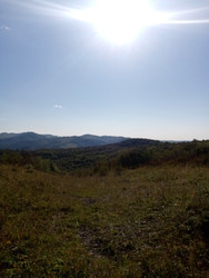 Similar image 22692338