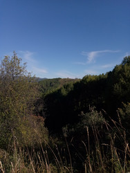 Similar image 22692339