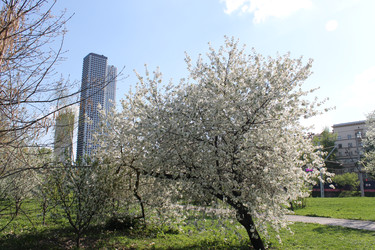 Similar image 22689698