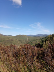 Similar image 22725306