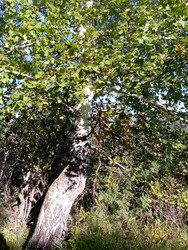 Similar image 22692342