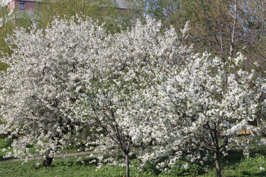 Similar image 22689739