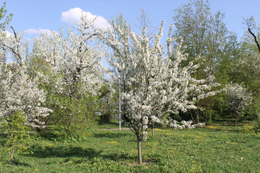 Similar image 22689740