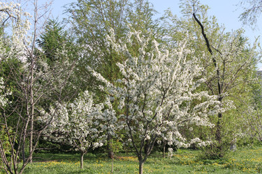 Similar image 22689670