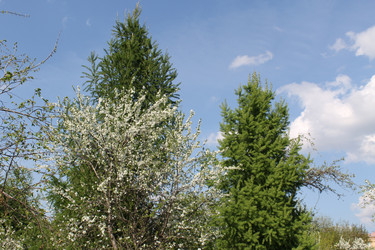 Similar image 22689671