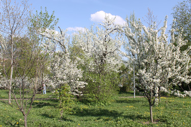 Similar image 22689675