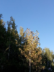 Similar image 22725314