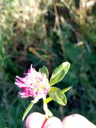 Similar image 22692344
