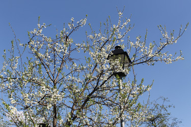 Similar image 22689701