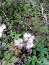 Similar image 22692346