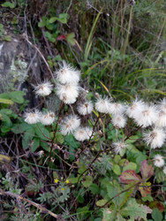 Similar image 22689617