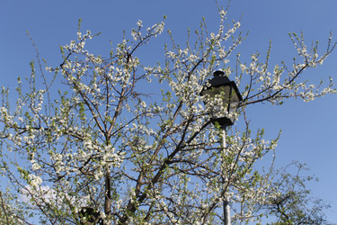 Similar image 22689703