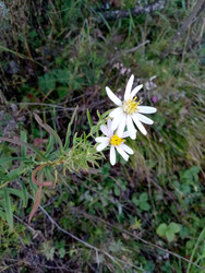 Similar image 22689618