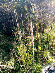 Similar image 22692348