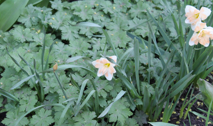 Similar image 22692351