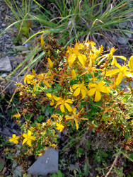 Similar image 22689621