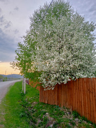 Similar image 22694117