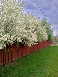 Similar image 22694118