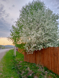 Similar image 22694119
