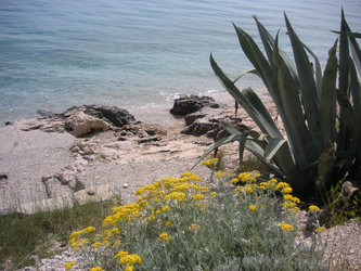 Similar image 22692359