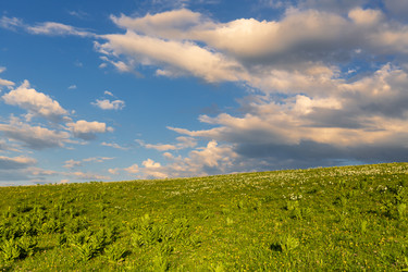 Similar image 22692906