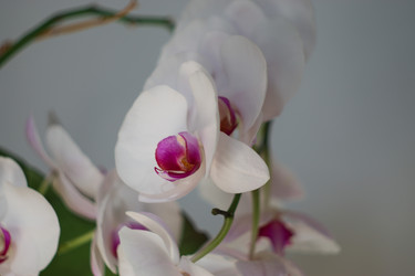 Similar image 22695407