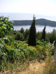 Similar image 22692378