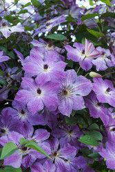 Similar image 22702309