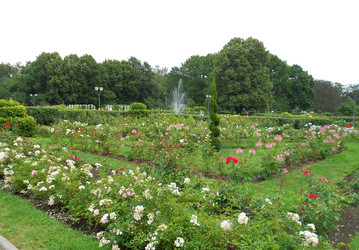 Similar image 22692812